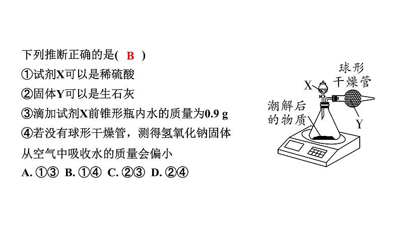 2024山东中考化学二轮专题复习 微专题 碱质变的探究（课件）06