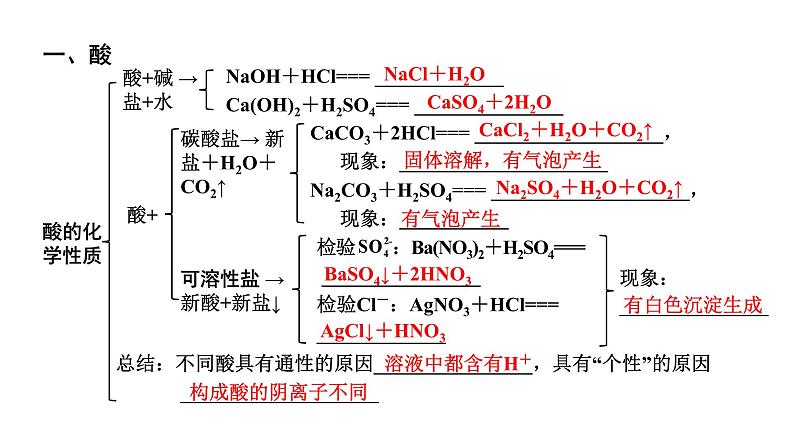 2024山东中考化学二轮专题复习 微专题 酸和碱的基础知识（课件）04