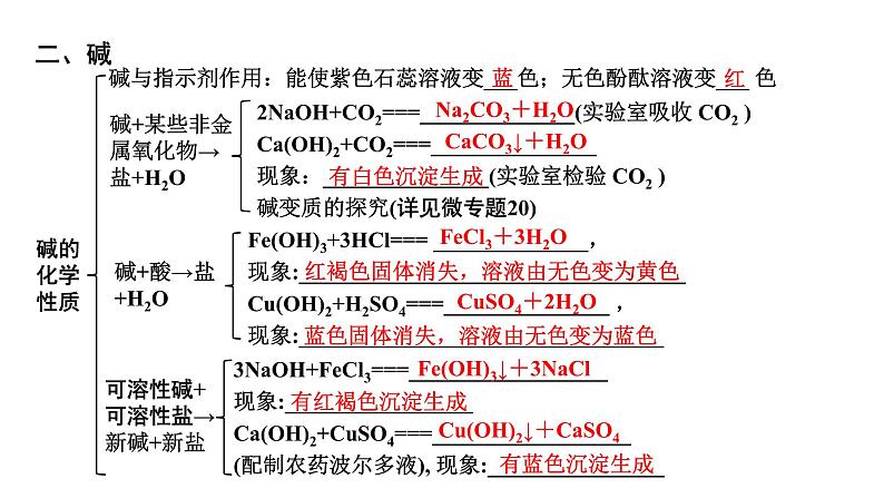 2024山东中考化学二轮专题复习 微专题 酸和碱的基础知识（课件）07