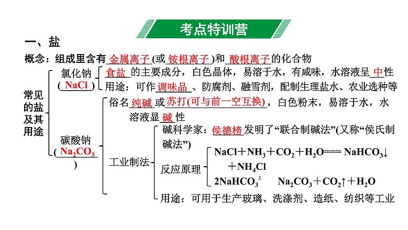 2024山东中考化学二轮专题复习 微专题 盐和化肥的基础知识（课件）02