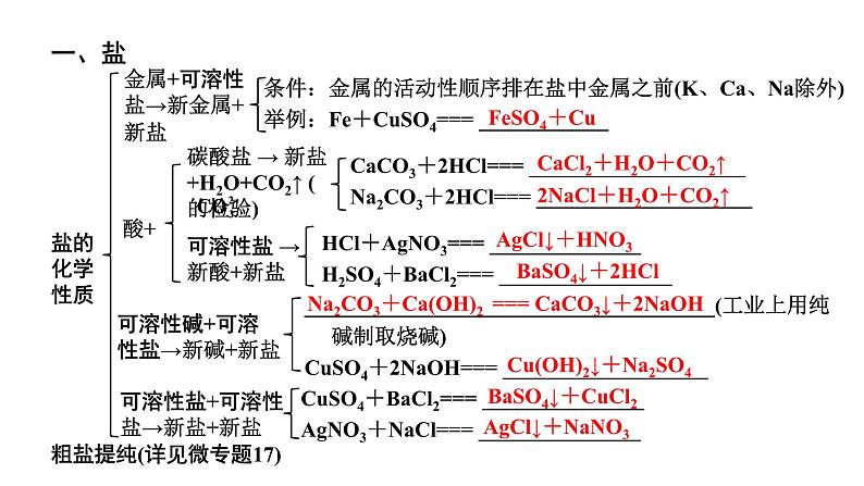 2024山东中考化学二轮专题复习 微专题 盐和化肥的基础知识（课件）04