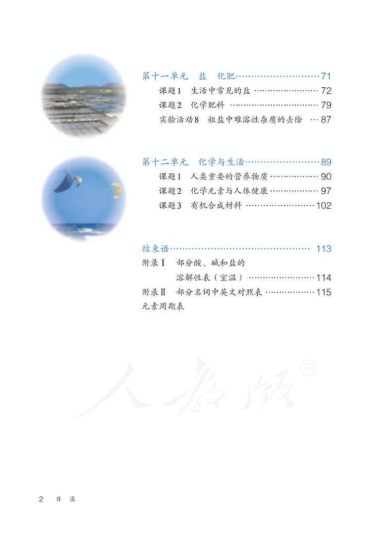 人教版9年级化学下册电子课本【高清教材】03