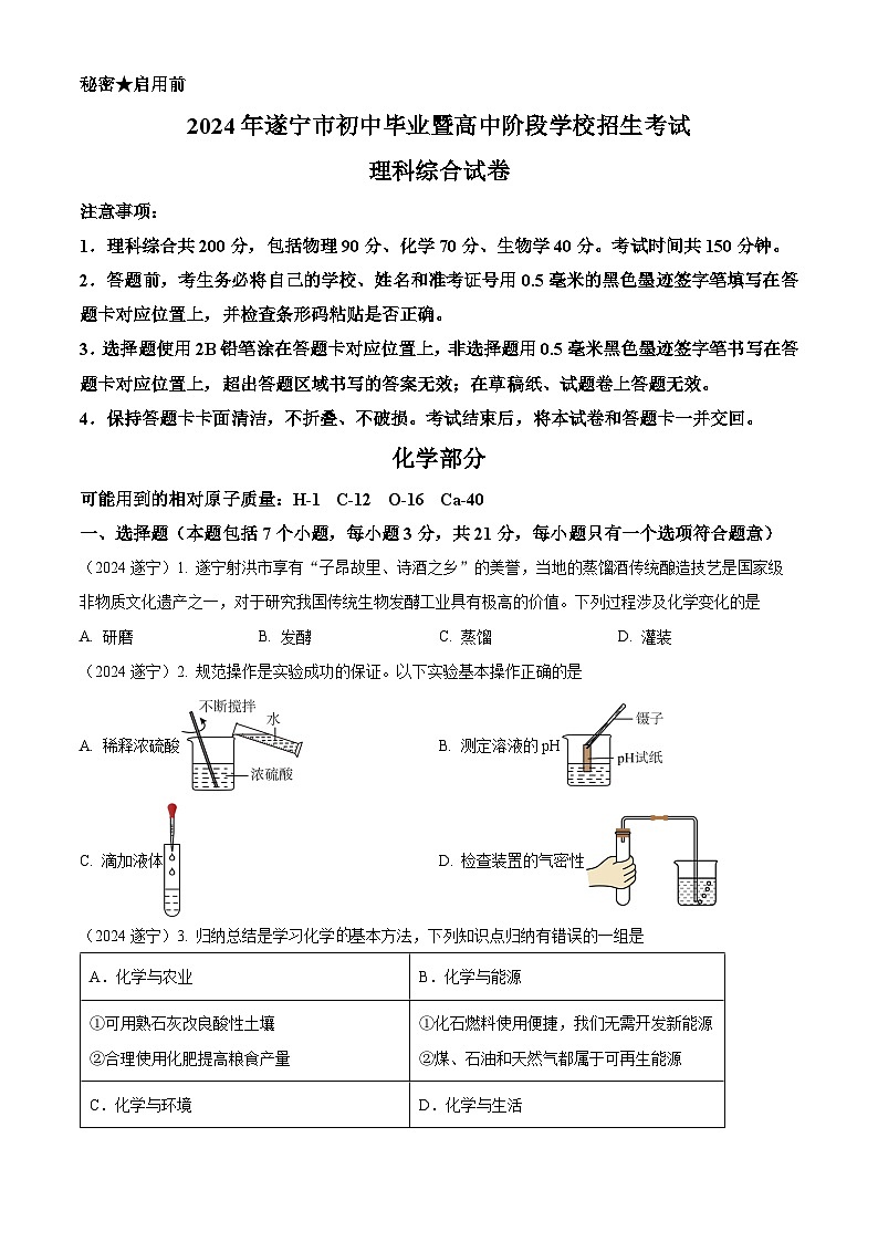 2024年四川省遂宁市中考化学真题（含解析）01