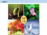 4.4 初中化学上册第四章第四节 化学方程式课件