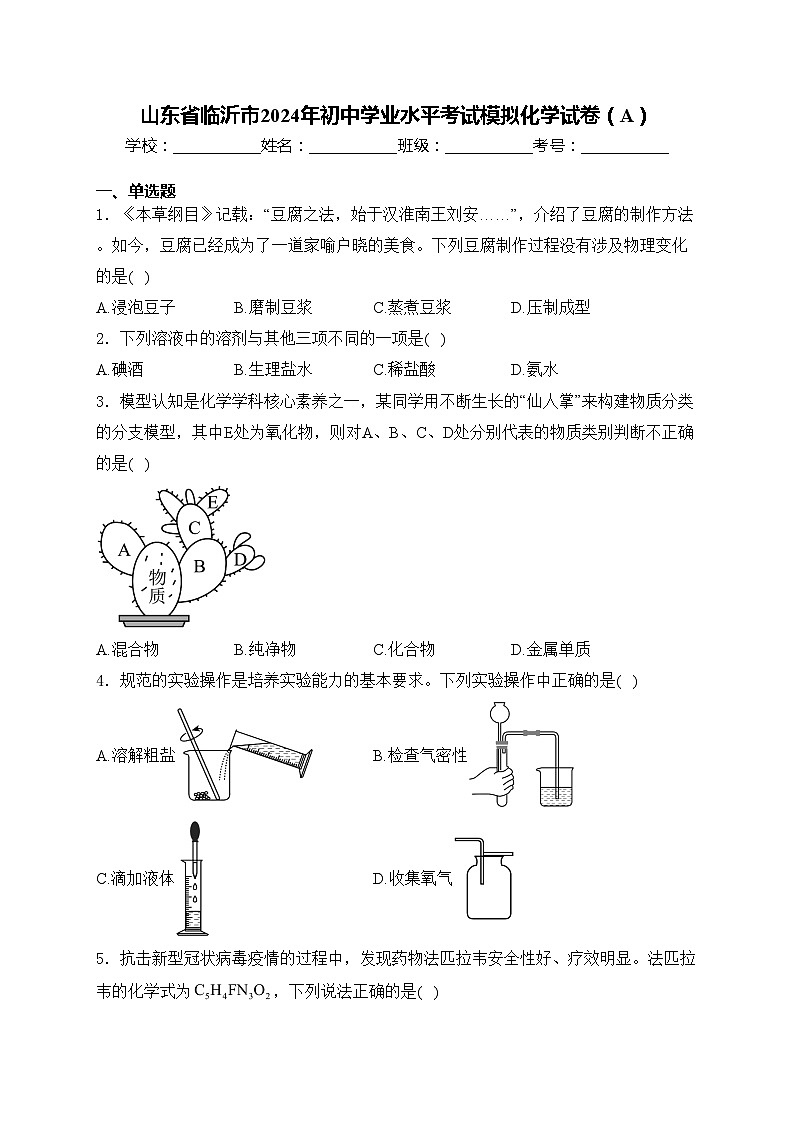山东省临沂市2024年初中学业水平考试模拟化学试卷（A）(含答案)第1页