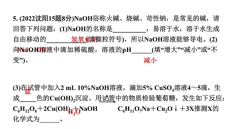 2024沈阳中考化学二轮专题突破 常见的酸和碱（课件）06