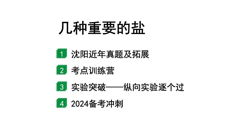 2024沈阳中考化学二轮专题突破 几种重要的盐（课件）01