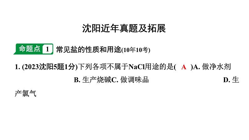 2024沈阳中考化学二轮专题突破 几种重要的盐（课件）02