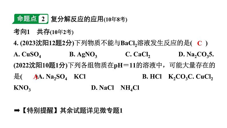 2024沈阳中考化学二轮专题突破 几种重要的盐（课件）07