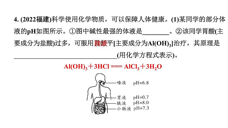 2024沈阳中考化学二轮专题突破 全国视野  推荐题型（课件）05