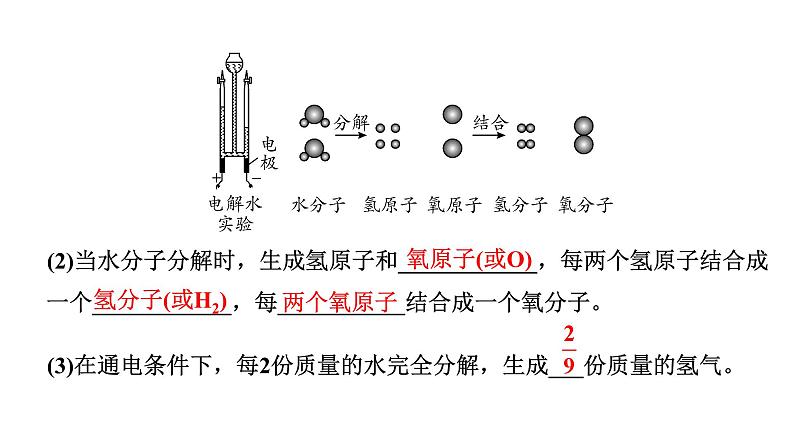 2024沈阳中考化学二轮专题突破 自然界中的水（课件）第3页