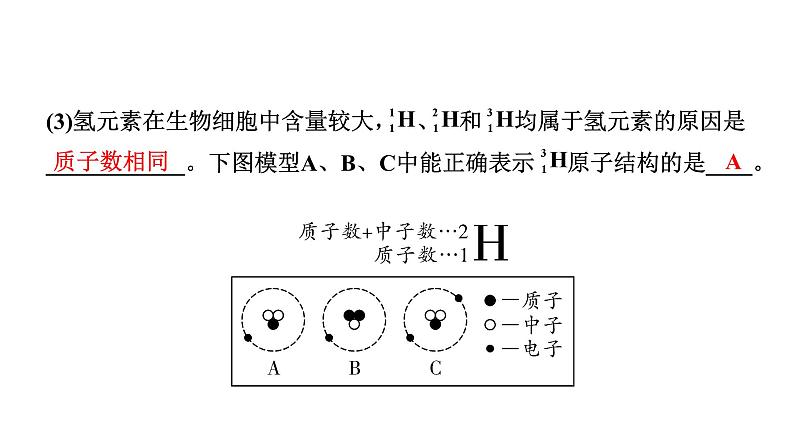 2024沈阳中考化学二轮专题突破 组成物质的化学元素（课件）第4页