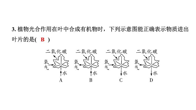 2024四川中考化学二轮复习 专题九 全国视野　推荐题型（课件）第4页