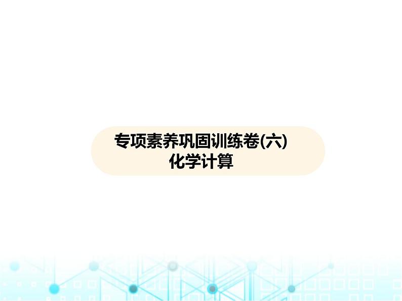 沪教版初中九年级化学上册专项素养巩固训练卷(六)化学计算课件第1页