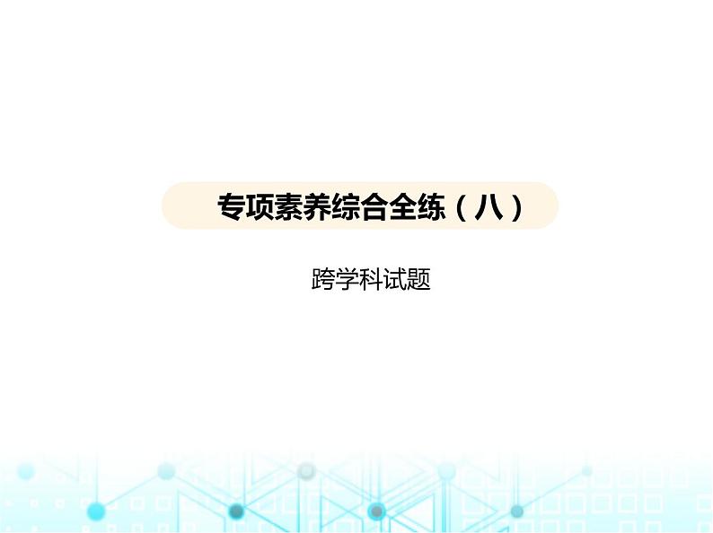 沪教版初中九年级化学上册专项素养综合练(八)课件第1页