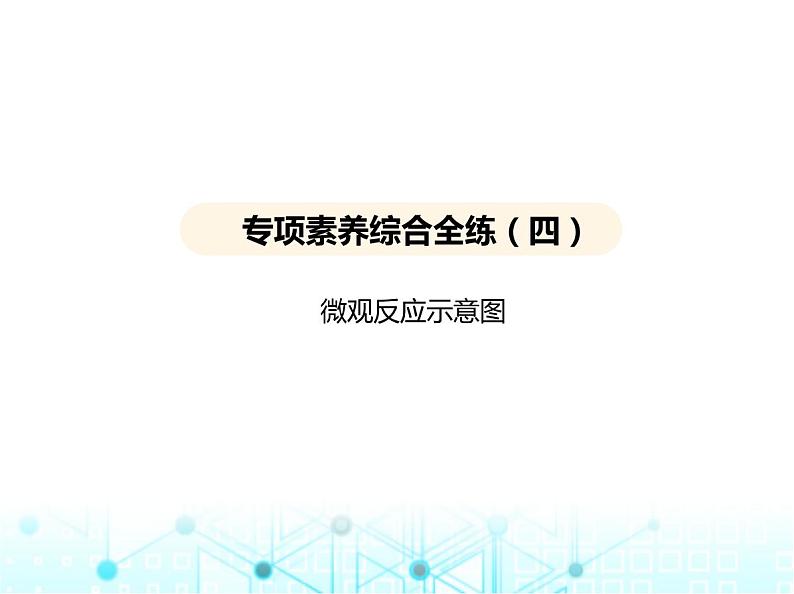 沪教版初中九年级化学上册专项素养综合练(四)课件01