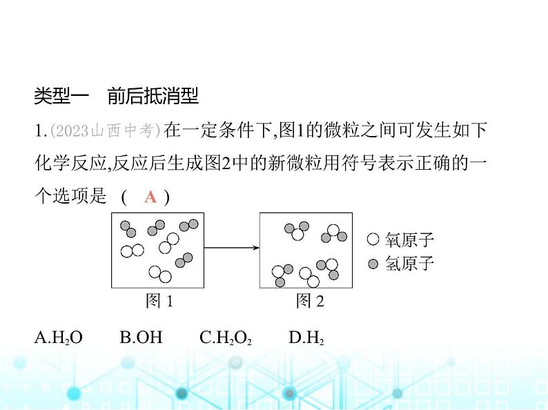 沪教版初中九年级化学上册专项素养综合练(四)课件02