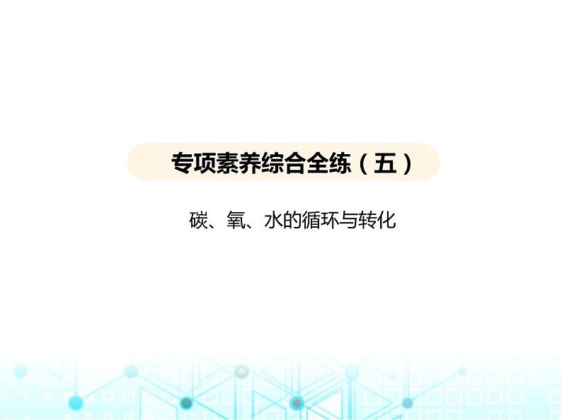 沪教版初中九年级化学上册专项素养综合练(五)课件第1页