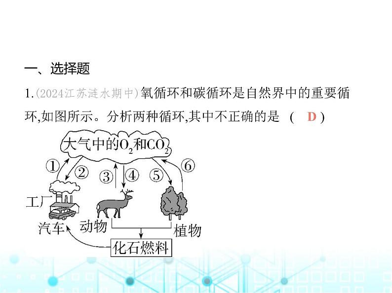 沪教版初中九年级化学上册专项素养综合练(五)课件第2页