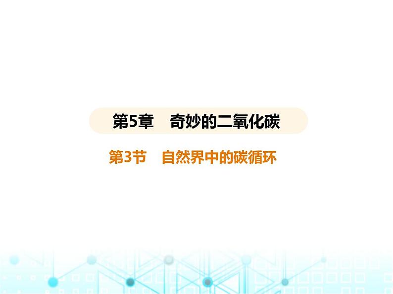 沪教版初中九年级化学上册第5章奇妙的二氧化碳第3节自然界中的碳循环课件01