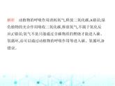 沪教版初中九年级化学上册第5章奇妙的二氧化碳第3节自然界中的碳循环课件