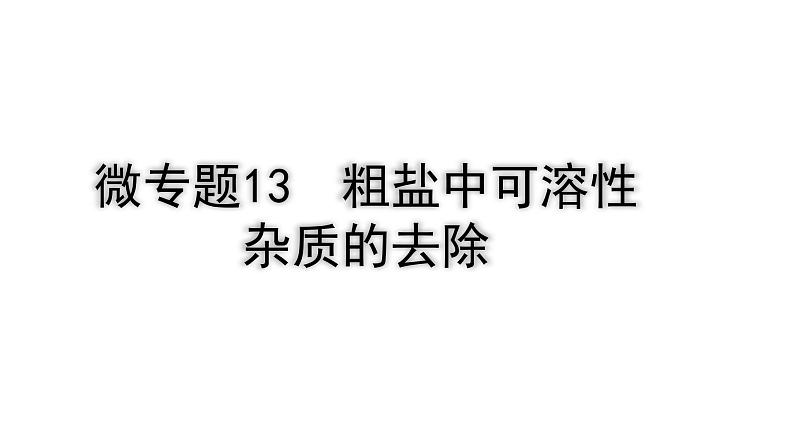 2024四川中考化学二轮复习微专题13 粗盐中可溶性杂质的去除 （课件）第1页