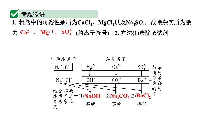 2024四川中考化学二轮复习微专题13 粗盐中可溶性杂质的去除 （课件）第2页