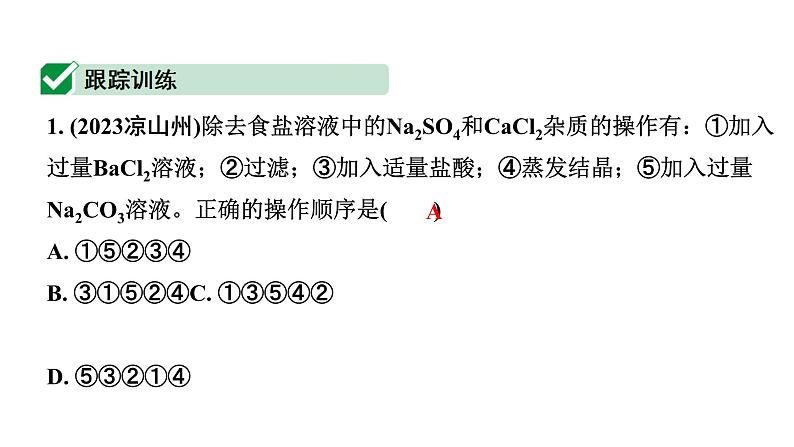 2024四川中考化学二轮复习微专题13 粗盐中可溶性杂质的去除 （课件）第6页