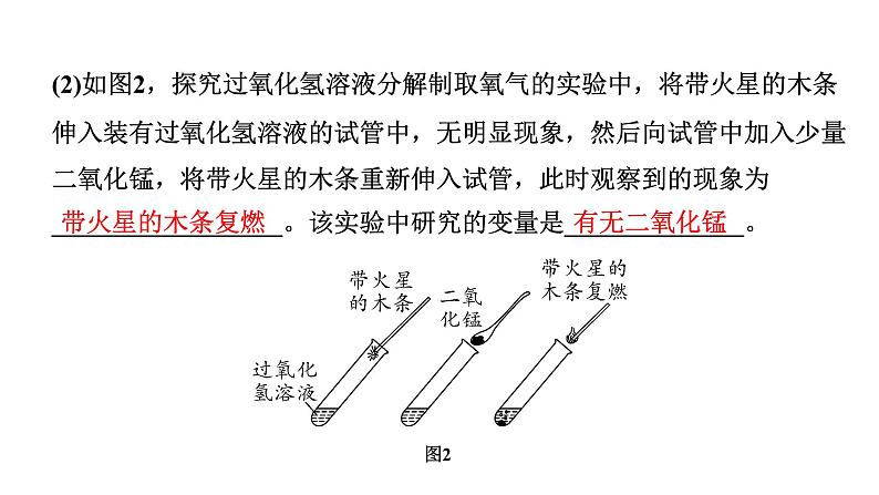 2024四川中考化学二轮复习专题一 横向实验归类练 （课件）第3页