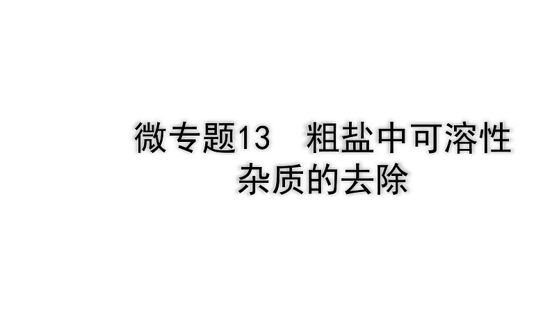 2024四川中考化学一轮复习 微专题13 粗盐中可溶性杂质的去除（课件）第1页