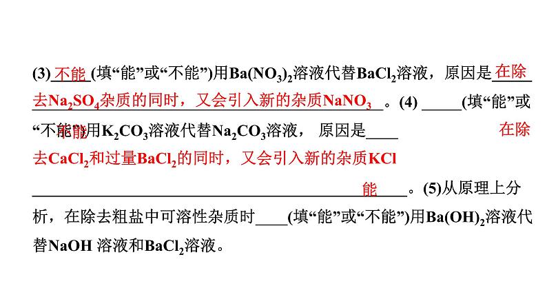 2024四川中考化学一轮复习 微专题13 粗盐中可溶性杂质的去除（课件）第5页