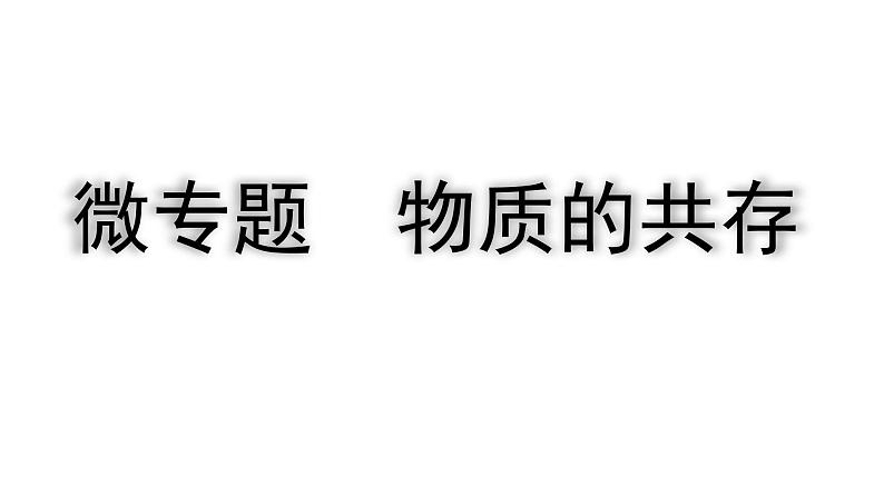 2024四川中考化学一轮复习微专题 物质的共存（课件）01