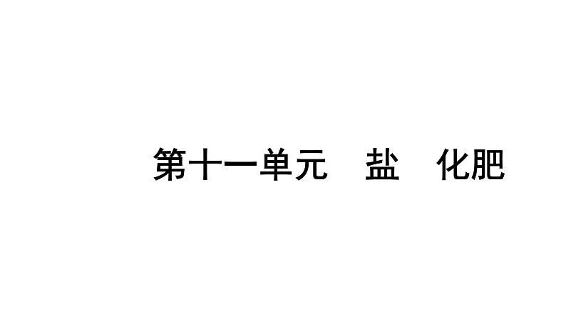 2024天津中考化学二轮复习 第十一单元　盐　化肥（课件）第1页