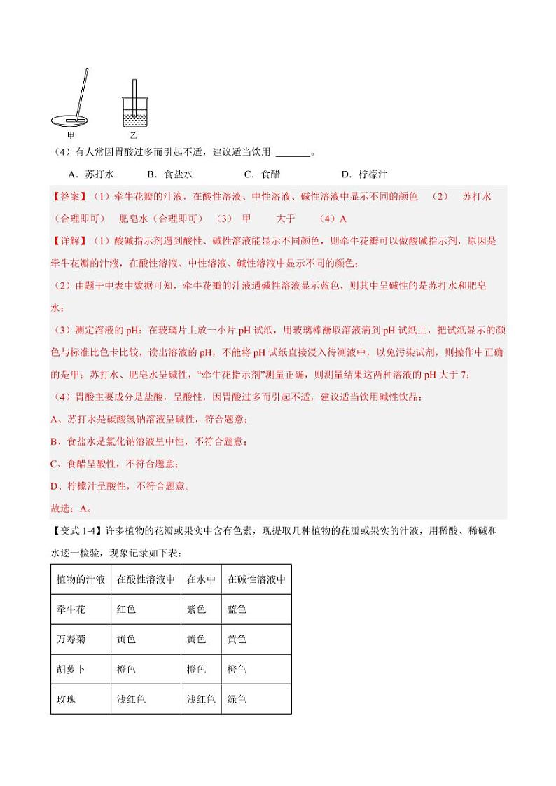 专题3.3溶液的酸碱性（五大题型）-2023-2024学年九年级化学第一学期同步举一反三系列（沪教版·上海）（含答案）03