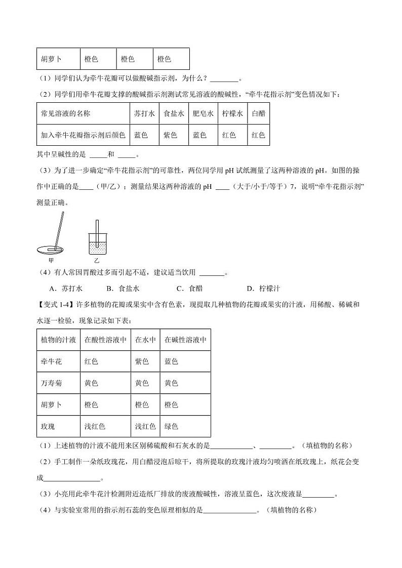 专题3.3溶液的酸碱性（五大题型）-2023-2024学年九年级化学第一学期同步举一反三系列（沪教版·上海）（含答案）02