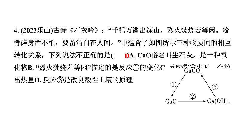 2024长沙中考化学二轮复习全国视野 推荐题型 （课件）第7页