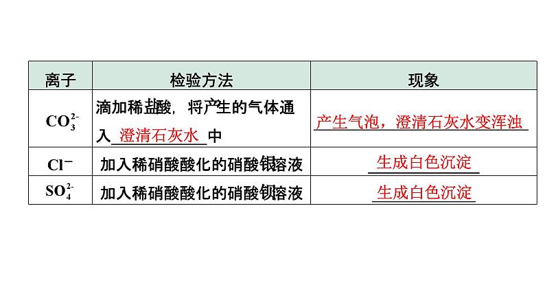 2024长沙中考化学二轮复习专题二Ⅰ. 检验、鉴别  （课件）第6页