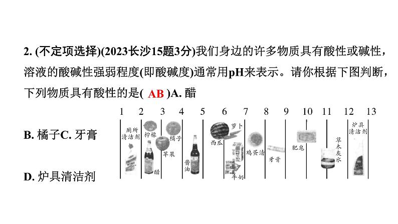 2024长沙中考化学一轮复习 第十单元　酸和碱 （课件）第7页