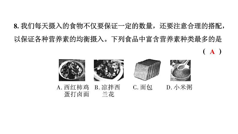 2024长沙中考化学一轮复习 第十二单元 化学与生活（课件）08