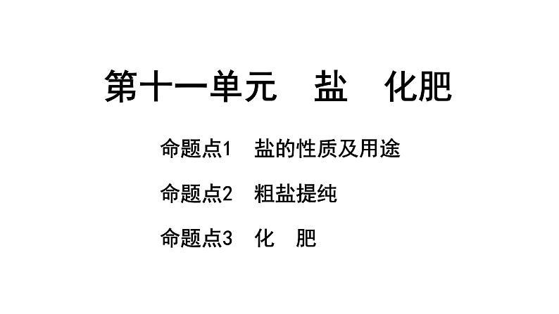 2024长沙中考化学一轮复习 第十一单元　盐　化肥（课件）01