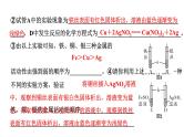2024长沙中考化学一轮复习 金属活动性顺序的验证与探究（课件）