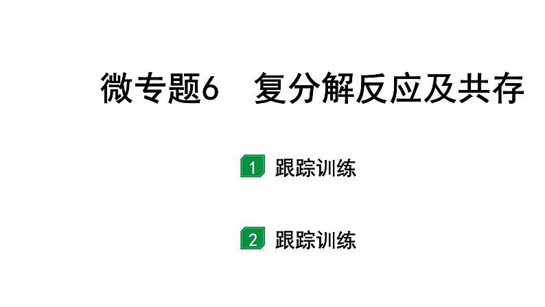 2024长沙中考化学一轮复习 微专题6 复分解反应及共存（课件）第1页