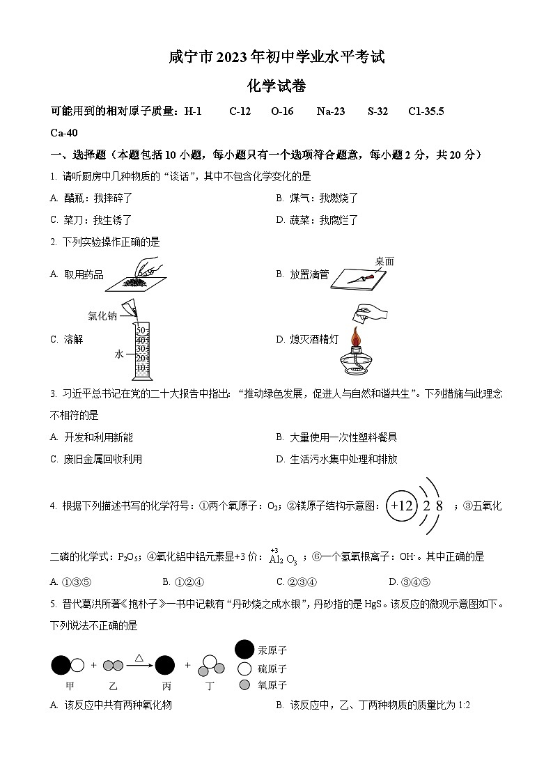 2023年湖北省咸宁市中考化学真题（解析版）第1页