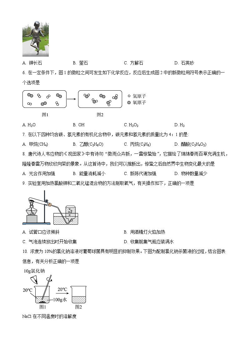2023年山西省中考化学真题（解析版）02