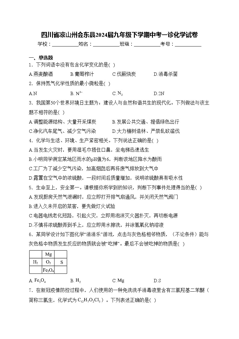 四川省凉山州会东县2024届九年级下学期中考一诊化学试卷(含答案)01