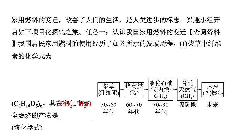 2024中考化学复习专题 跨学科实践活动二  (课件)第3页