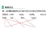 2024中考化学试题研究 微专题合集 (课件)