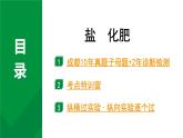 2024中考化学试题研究备考专题  盐 化肥 (课件)