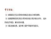 2024中考化学试题研究专题《实验室废液成分的探究及处理》 课件