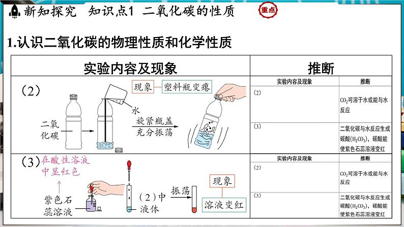 5.3 二氧化碳 课件-2024-2025学年九年级化学科粤版（2024）上册第4页